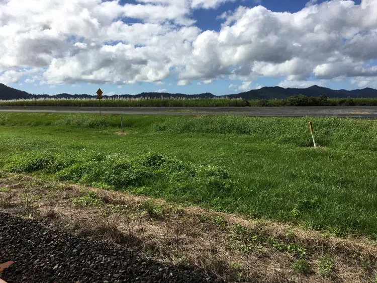 Fourth view of Homely rural property listing, 101 - 107 Midgenoo Feluga Rd St, Feluga QLD 4854