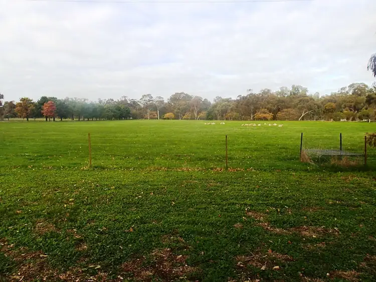 Third view of Homely rural property listing, 1328 Spring Dr, Collendina NSW 2646