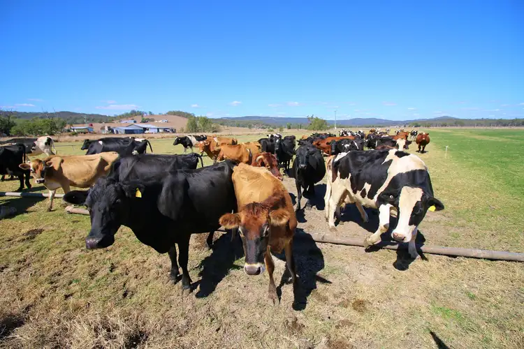 Third view of Homely rural property listing, 41 Heise Rd, Hatton Vale QLD 4341