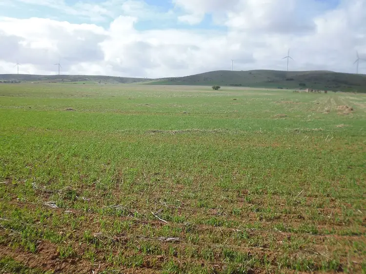 * Allotment 556 & 558 Powerline Road, Mundoora SA 5555