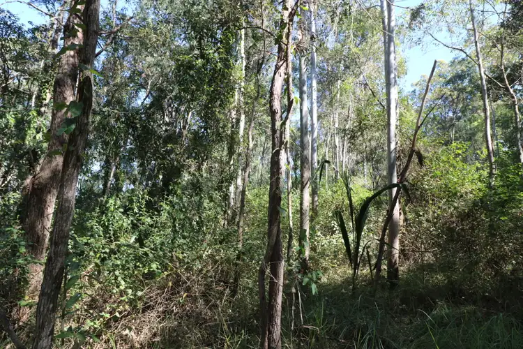 Sixth view of Homely land listing, LOT 1 Station Rd, Horton QLD 4660