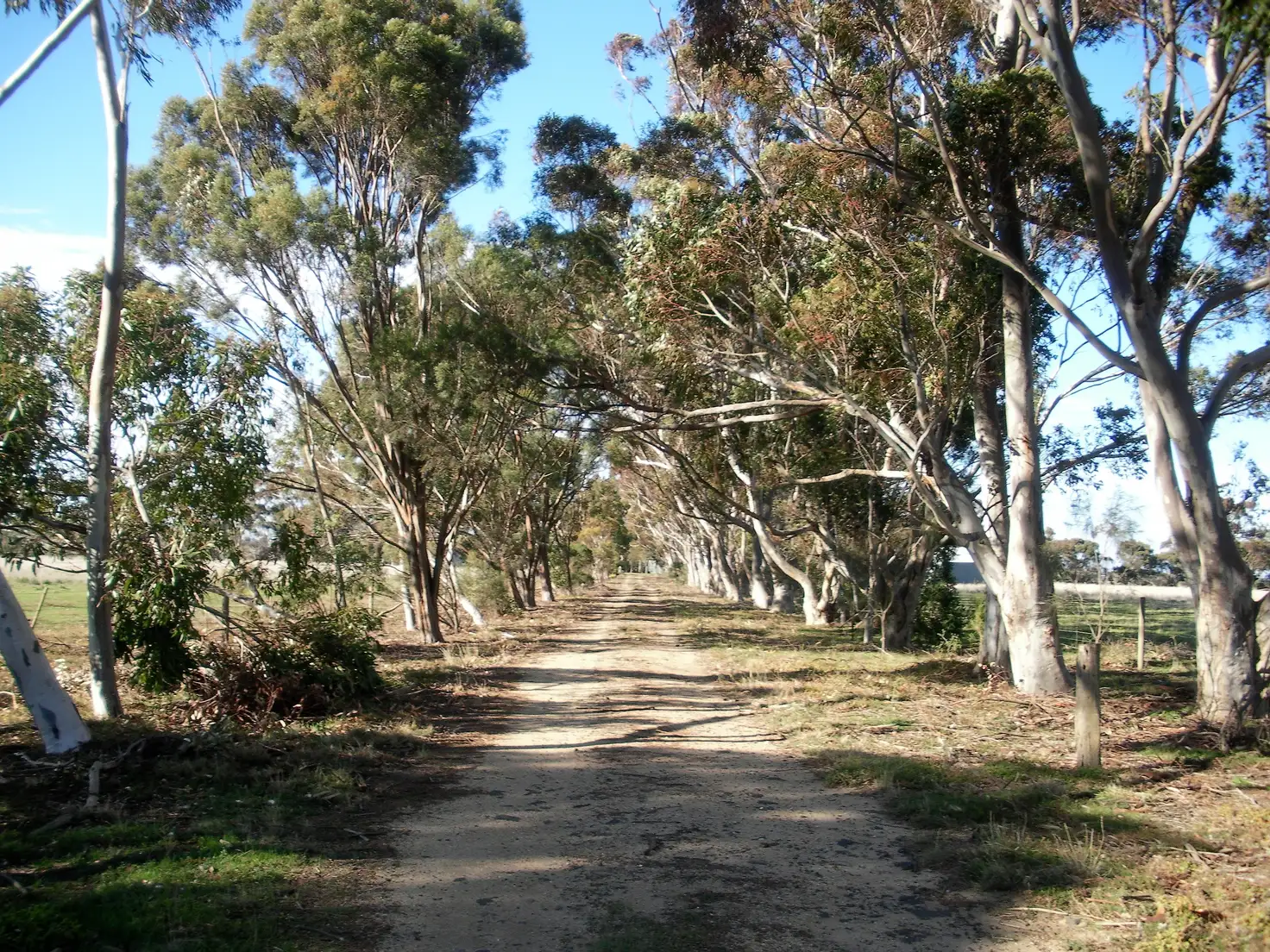 Main view of Homely rural property listing, 211 Mt Aitken Rd, Diggers Rest VIC 3427
