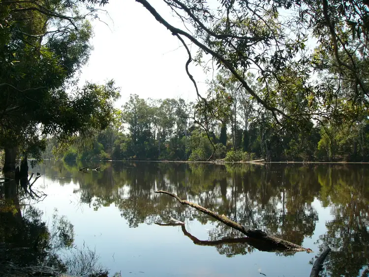 Second view of Homely rural property listing, 279 Nerada Rd, Tinana South QLD 4650