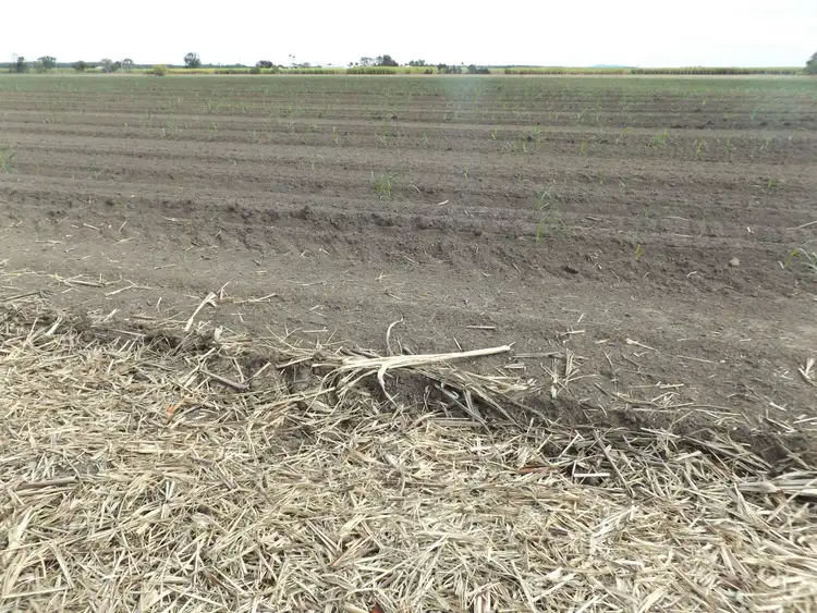 Second view of Homely rural property listing, Address available on request