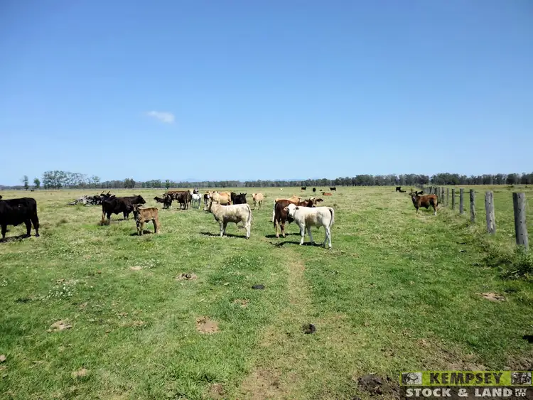 Sixth view of Homely rural property listing, Address available on request