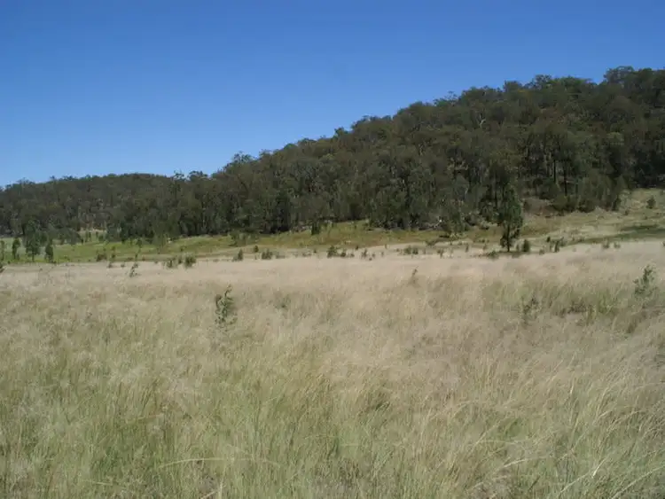 Sixth view of Homely rural property listing, Lot 22 Putty Road, Putty NSW 2330