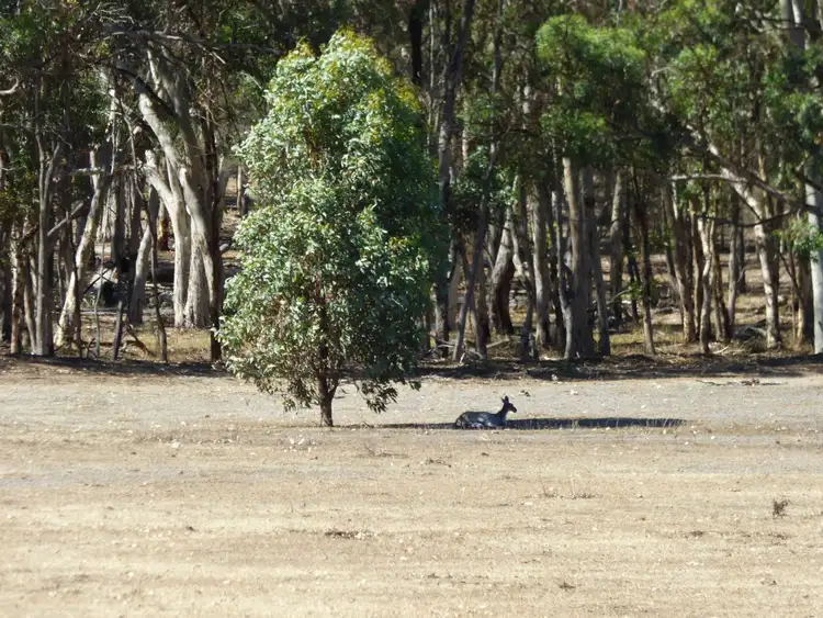 Second view of Homely land listing, 139 Caladenia Drive, Toodyay WA 6566
