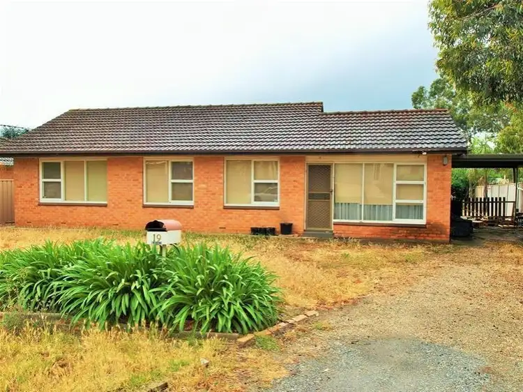 19 Silvermere Avenue, Paradise SA 5075