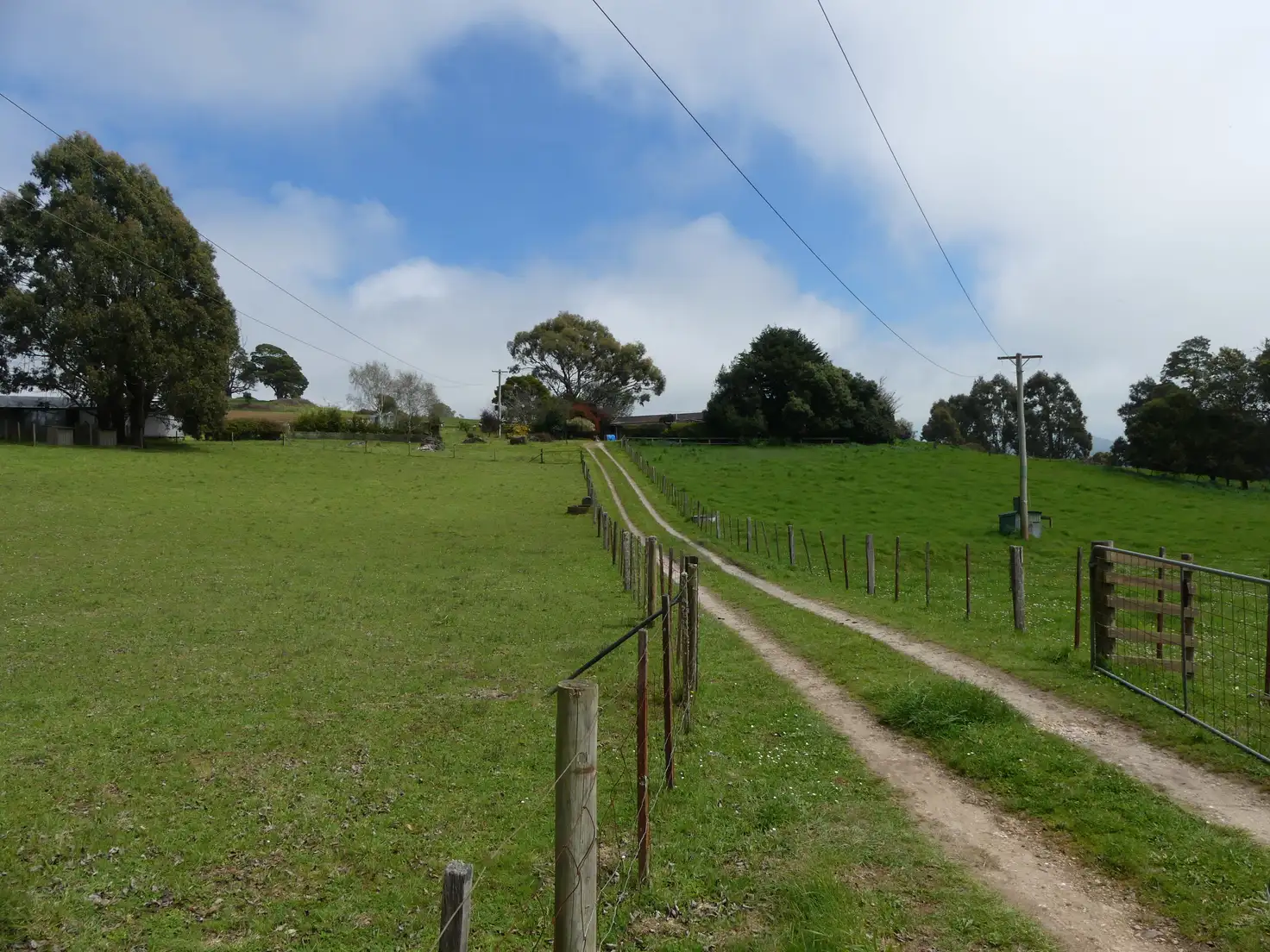 Main view of Homely house listing, 99 Coxs Rd, Red Hills TAS 7304