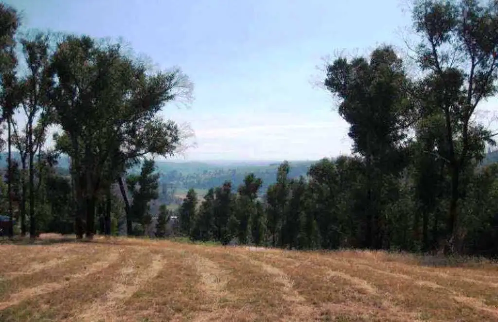 Main view of Homely land listing, 100 Settlers Road, Koornalla VIC 3844