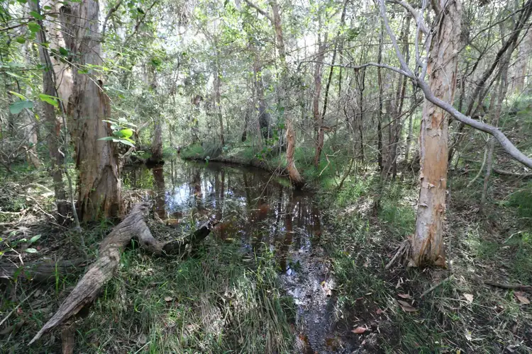 Seventh view of Homely land listing, 494 Butchers Road, South Isis QLD 4660