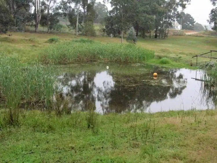 Third view of Homely rural property listing, 10-18 Nangutta Street, Towamba NSW 2550