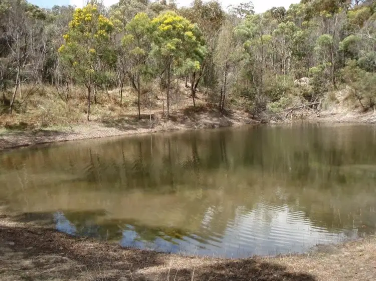 Third view of Homely rural property listing, 1114 Rabbit Fence Road, Stanthorpe QLD 4380