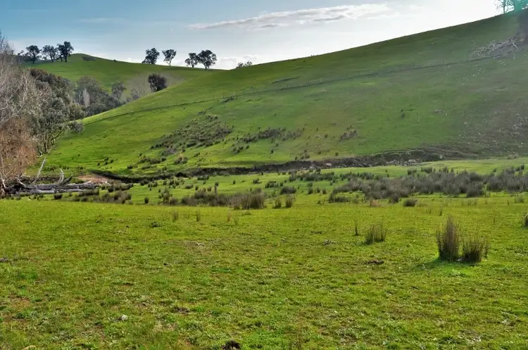 Second view of Homely rural property listing, Bottom Creek - Sirls Road, Bethanga VIC 3691