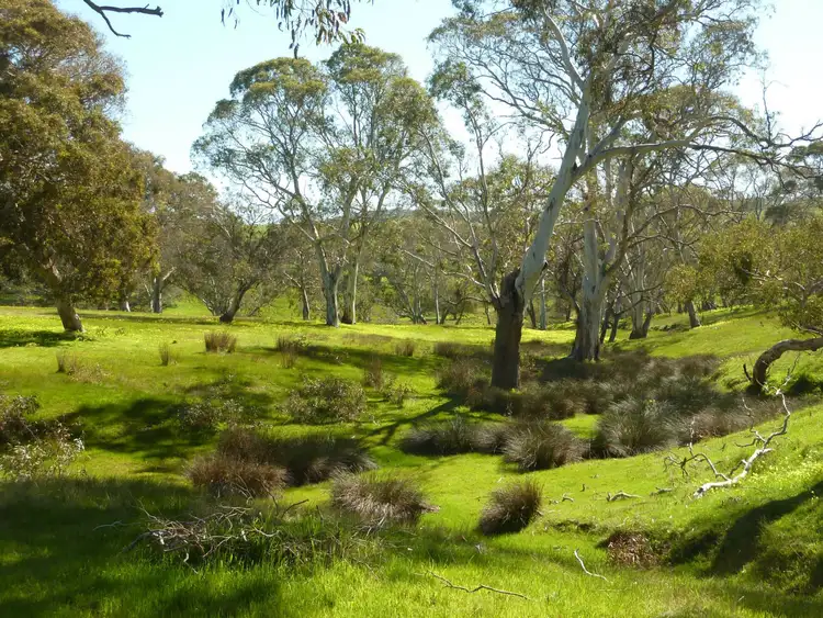 Seventh view of Homely rural property listing, Section 1092 Tonto Road, Normanville SA 5204