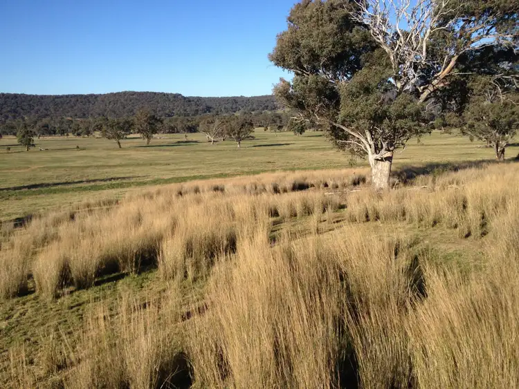Sixth view of Homely rural property listing, Lot 53 & 54 Pyangle Road, Rylstone NSW 2849