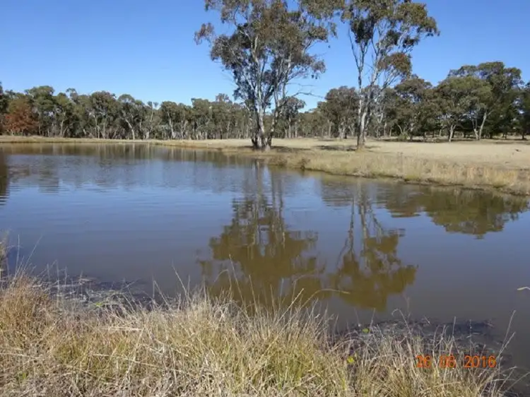 Third view of Homely rural property listing, 113 Mt Stirling Road, Stanthorpe QLD 4380