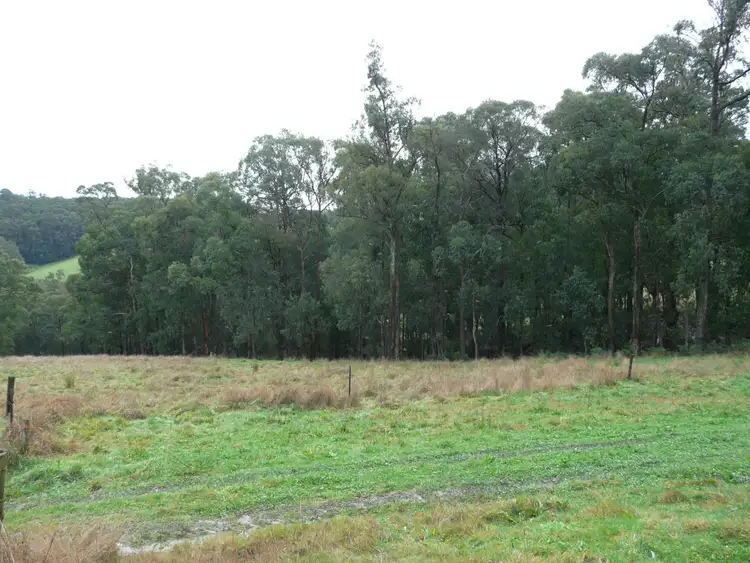Seventh view of Homely rural property listing, 495 Russells Creek Road, Hill End VIC 3825