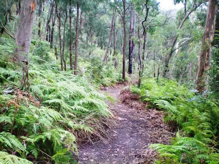 Third view of Homely land listing, 4586 Wisemans Ferry Road, Spencer NSW 2775