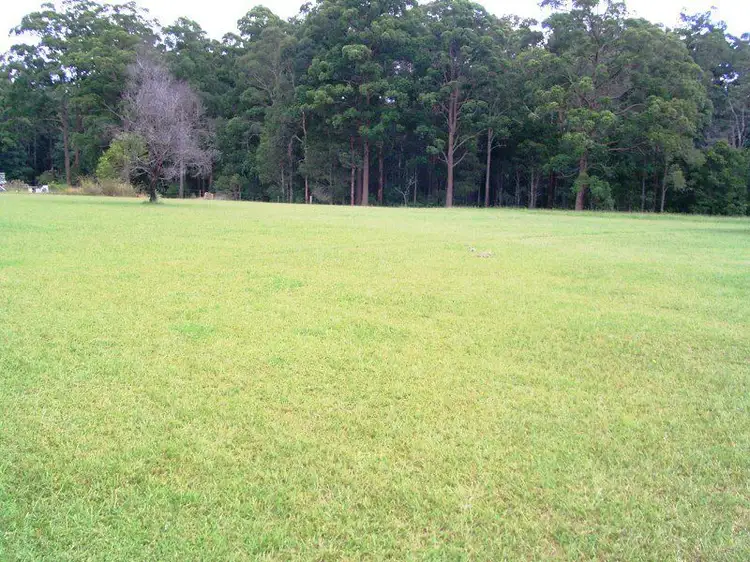 Second view of Homely rural property listing, 133 Sherwood Road, Aldavilla NSW 2440