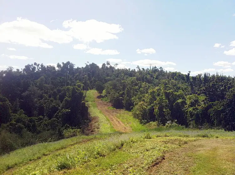 Main view of Homely rural property listing, Lot 139 Hill 60 Road, El Arish QLD 4855