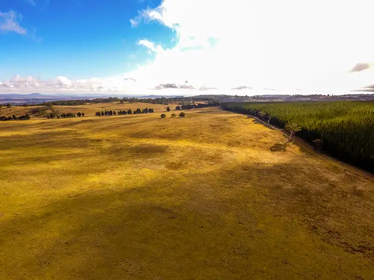 Fifth view of Homely rural property listing, 39 Razorback Rd, Running Stream NSW 2850