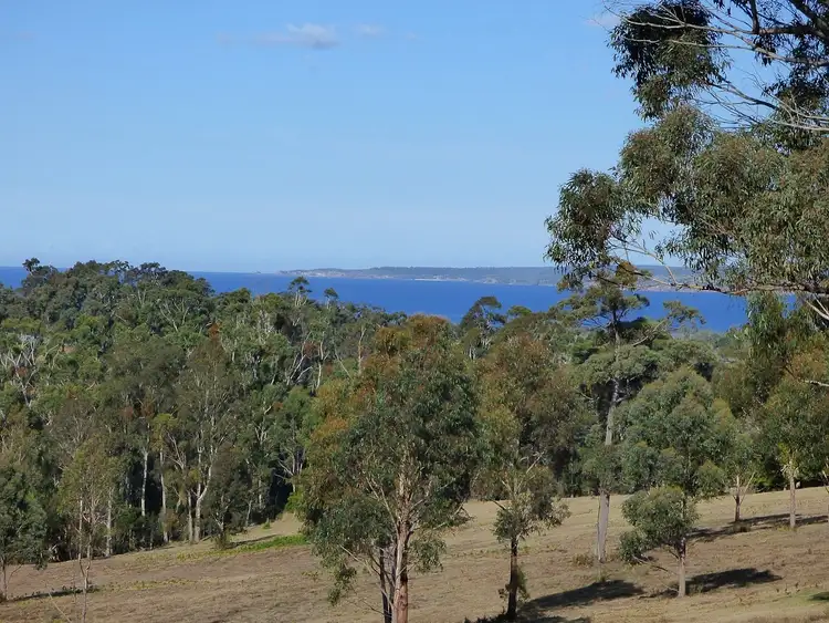 Fifth view of Homely rural property listing, LOT/283 Komirra Drive, Eden NSW 2551