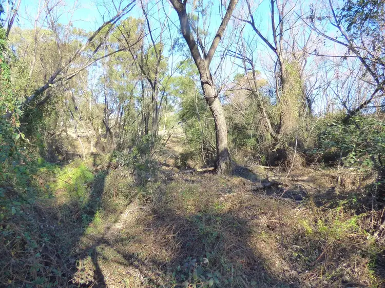 Fifth view of Homely land listing, 20 Towamba St, Towamba NSW 2550