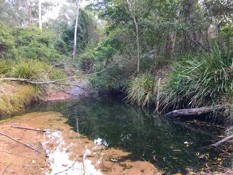 Fifth view of Homely rural property listing, Lots 89, 90 & 91 Mt Darragh Rd, Lochiel NSW 2549