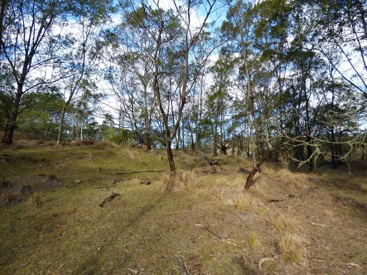 Seventh view of Homely rural property listing, Lots 89, 90 & 91 Mt Darragh Rd, Lochiel NSW 2549