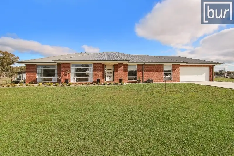 Main view of Homely rural property listing, 499 Culcairn Holbrook Rd, Holbrook NSW 2644