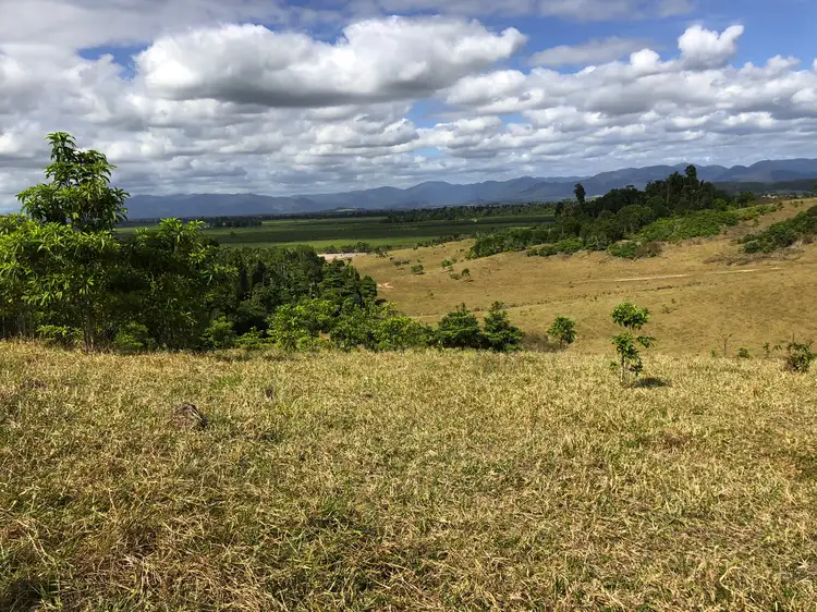 Fifth view of Homely rural property listing, 367 Dingo Pocket, Dingo Pocket QLD 4854