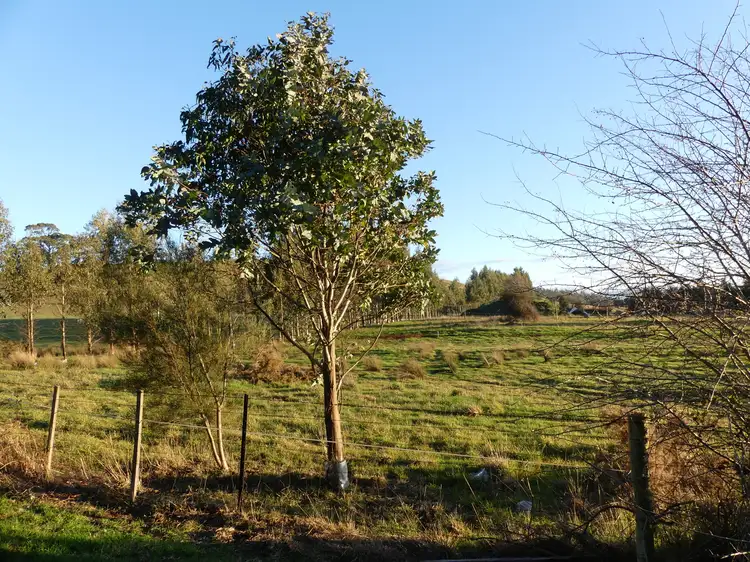 Third view of Homely land listing, Lot/3-4 East Goderich Street, Deloraine TAS 7304