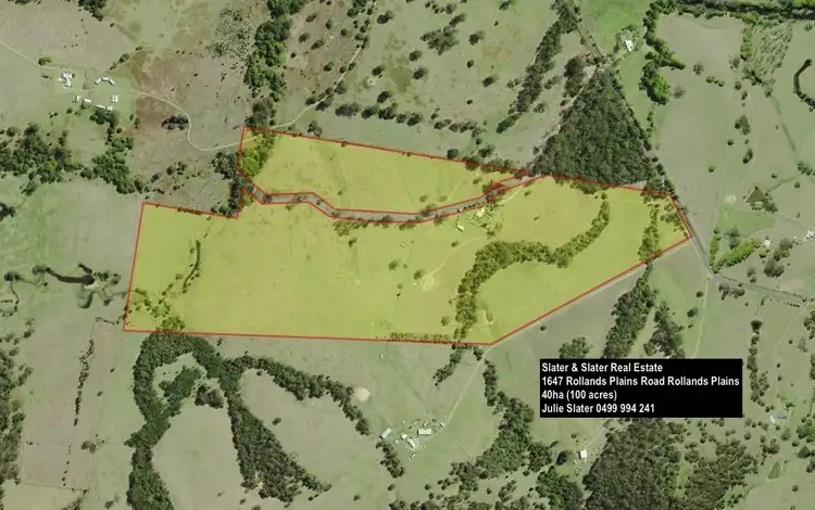 Main view of Homely rural property listing, 1647 Rollands Plains Rd, Rollands Plains NSW 2441