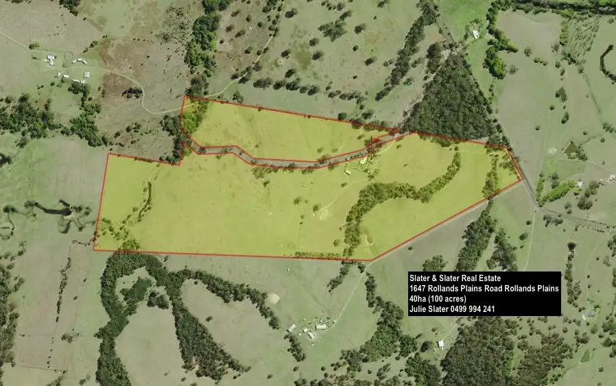 Main view of Homely rural property listing, 1647 Rollands Plains Rd, Rollands Plains NSW 2441