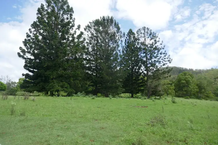 Third view of Homely rural property listing, 1735 Afterlee Road, Kyogle NSW 2474