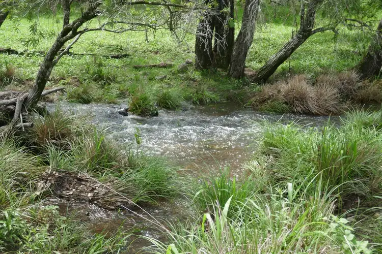 Fourth view of Homely rural property listing, 1735 Afterlee Road, Kyogle NSW 2474