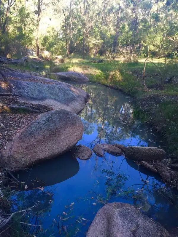 Seventh view of Homely house listing, 216 Paling Yard Road, Wallangarra QLD 4383