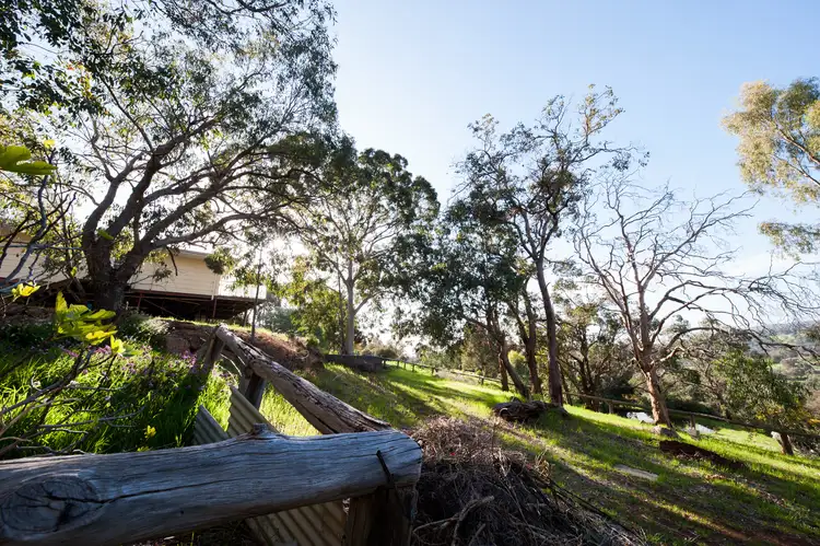 Main view of Homely rural property listing, 56 Marsh Ct, Jarrahdale WA 6124