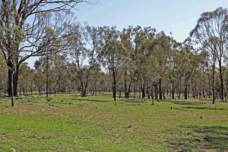 Seventh view of Homely rural property listing, Lot 10 Rodgers Creek Road, Warwick QLD 4370