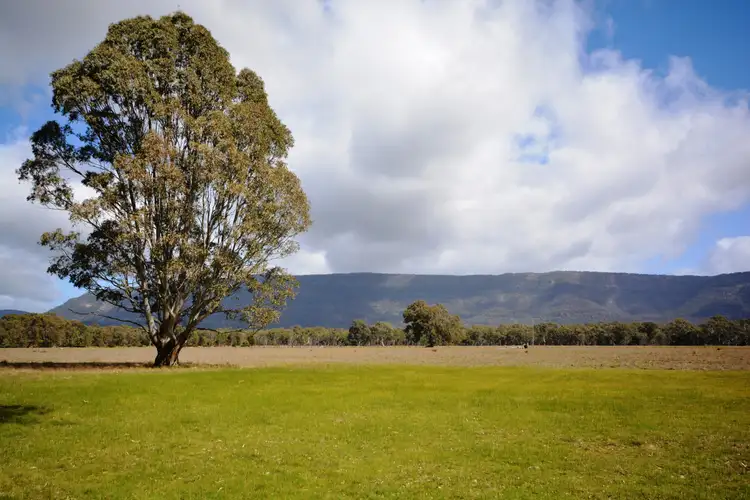 Second view of Homely land listing, Lot 1 Fyans Creek Rd, Fyans Creek, Halls Gap VIC 3381