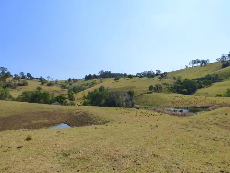 Third view of Homely rural property listing, Proposed Lot A Woodlands Lane, Bald Hills NSW 2549