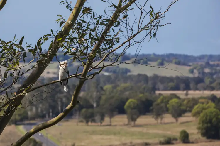 Third view of Homely house listing, 27 Pendara Cres, Lismore Heights NSW 2480
