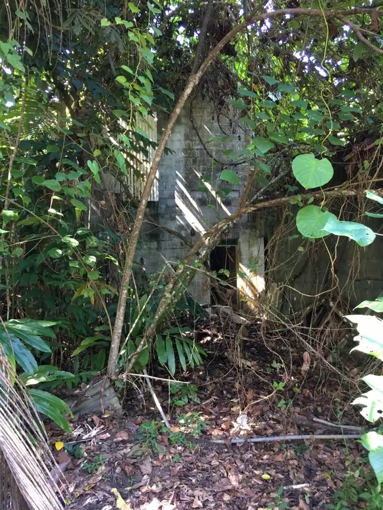 Second view of Homely land listing, Lot 3 Mt Coom Road, Lower Tully QLD 4854