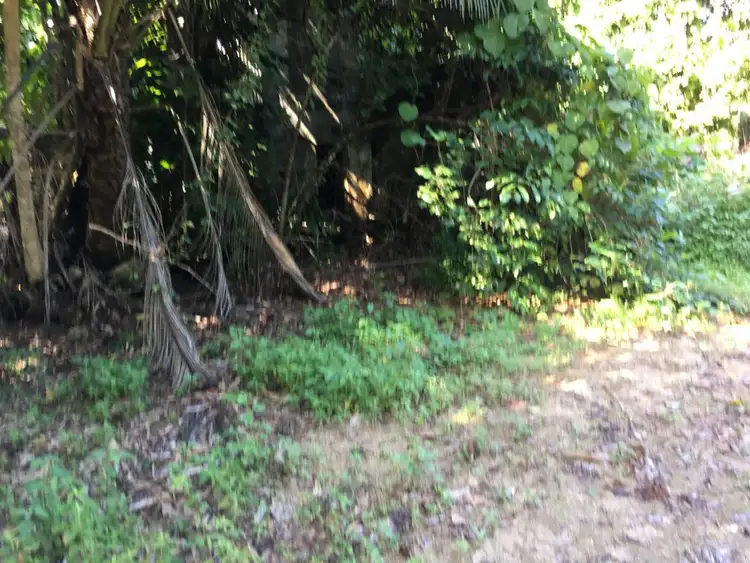Fourth view of Homely land listing, Lot 3 Mt Coom Road, Lower Tully QLD 4854