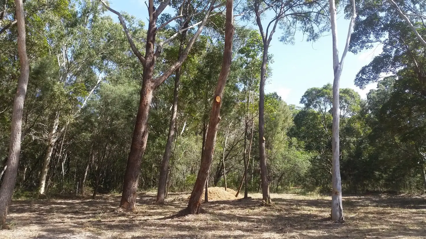 Main view of Homely land listing, 25 DOVERTON, Russell Island QLD 4184