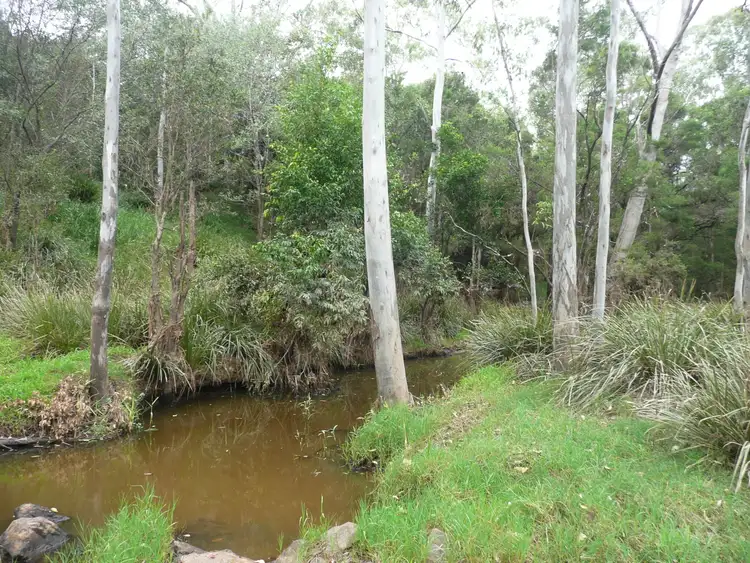 Seventh view of Homely rural property listing, 440 Antigua Rd, Antigua QLD 4650