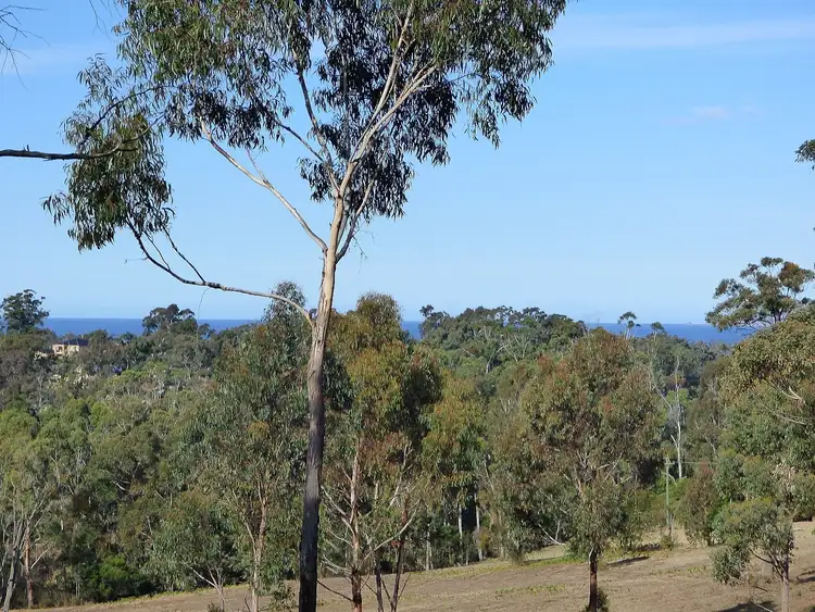 Third view of Homely rural property listing, Lot/284 Komirra Drive, Eden NSW 2551