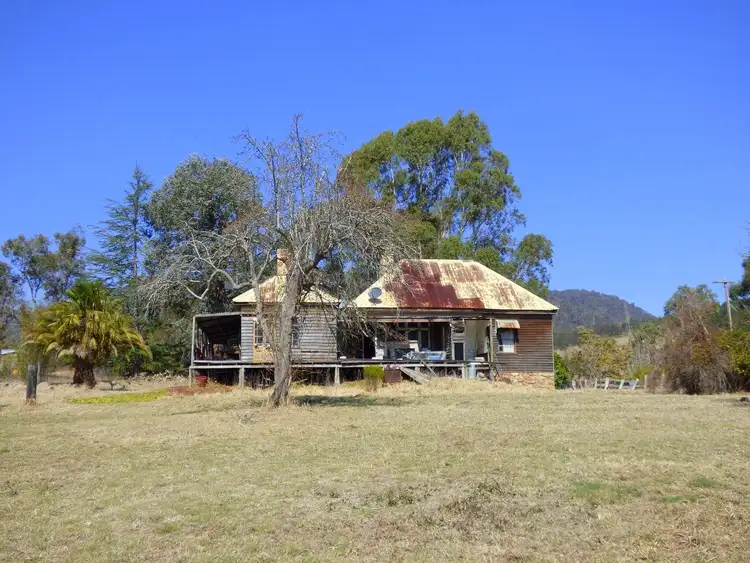 Fourth view of Homely rural property listing, 885 New Buildings Rd, Wyndham NSW 2550