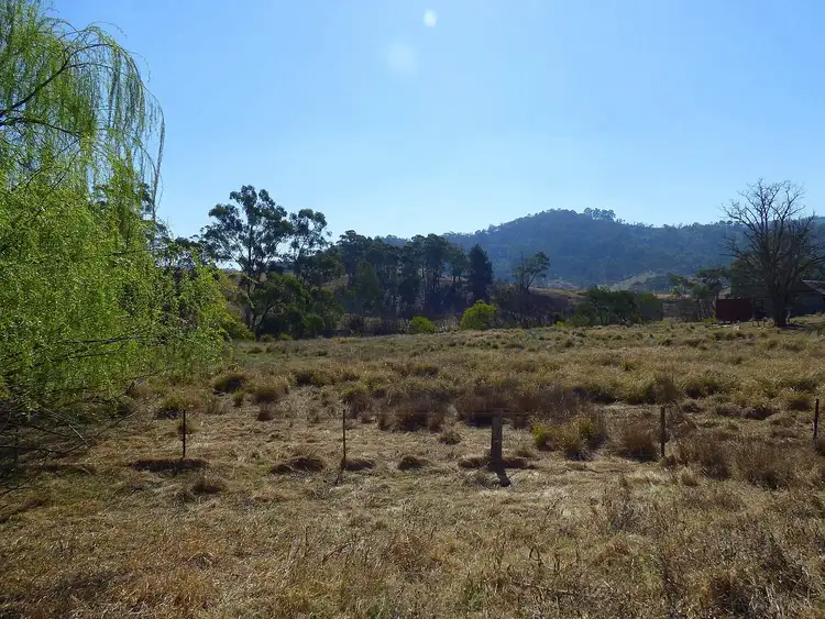 Fifth view of Homely rural property listing, 885 New Buildings Rd, Wyndham NSW 2550